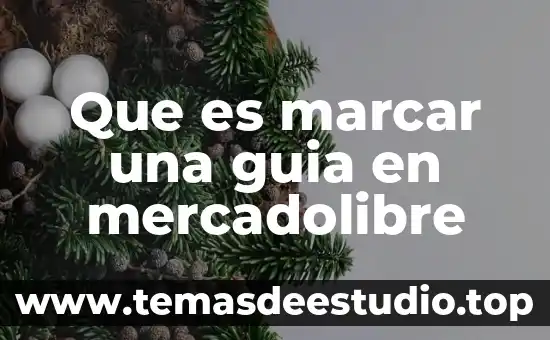 Qué es una guía rápida concepto 3 Que es marcar una guia en mercadolibre