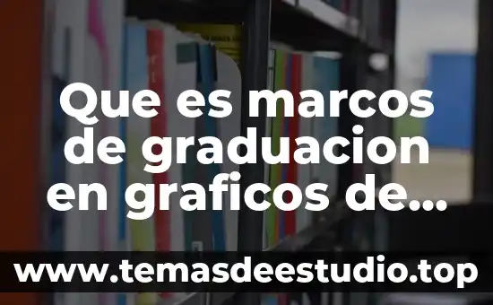 Que es una firma digital en exel 5 Que es marcos de graduacion en graficos de exel