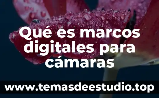 En libros digitales que es una plataforma 3 Qué es marcos digitales para cámaras