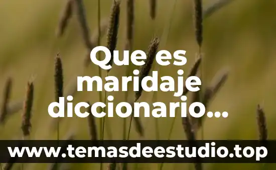 Que es orogenesis diccionario griego 7 Que es maridaje diccionario español