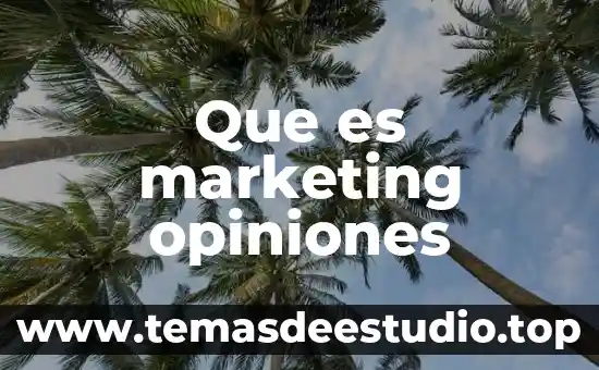 Que es un argumento y los tipos de opiniones 6 Que es marketing opiniones