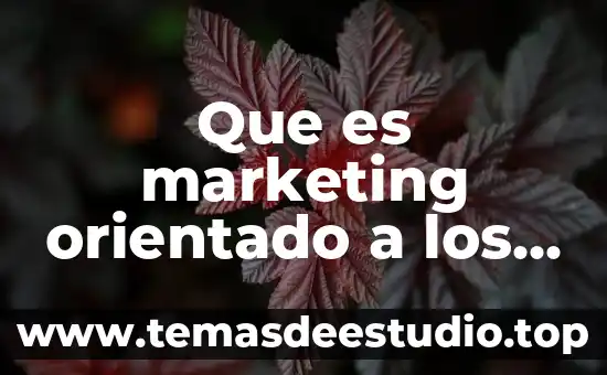 Que es un paradigma orientado a la logica 3 Que es marketing orientado a los clientes