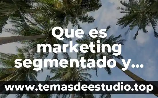 Qué es la lógica epistémica ejemplos 6 Que es marketing segmentado y ejemplos