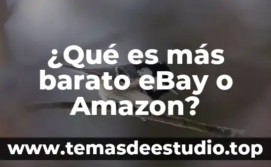 Que es mas barato fedex o estafeta 4 ¿Qué es más barato eBay o Amazon?