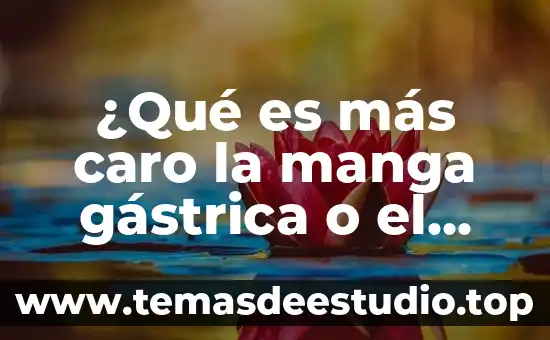 ¿Qué es más caro la manga gástrica o el bypass?