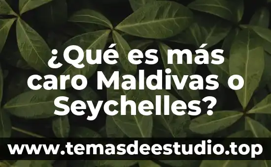 Que es mas caro un aborto o un parto 5 ¿Qué es más caro Maldivas o Seychelles?