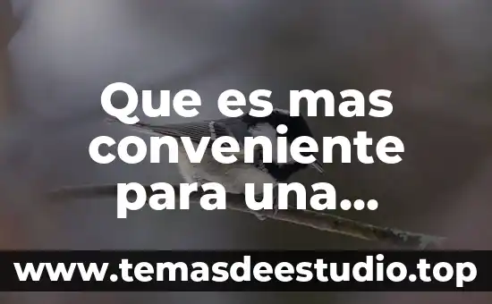 Que es conocimiento en una empresa 5 Que es mas conveniente para una empresa crecer o consolidarse