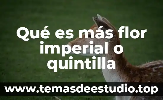 ¿Qué es más cansado, el fútbol o el baloncesto? 5 Qué es más flor imperial o quintilla