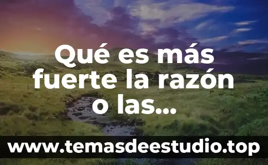 Que es lo mas viejo del mundo 3 Qué es más fuerte la razón o las emociones