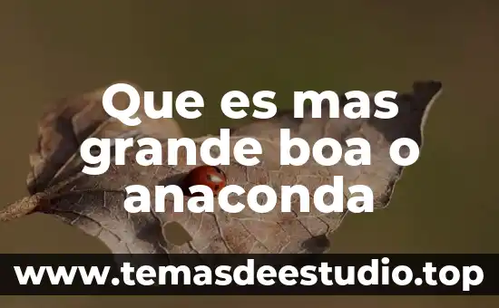 Que es ganaderia nombres mas importantes que desarrollo mesoamerica 3 Que es mas grande boa o anaconda
