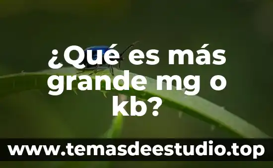 Que es mas grande el auditorio o el palacio 7 ¿Qué es más grande mg o kb?