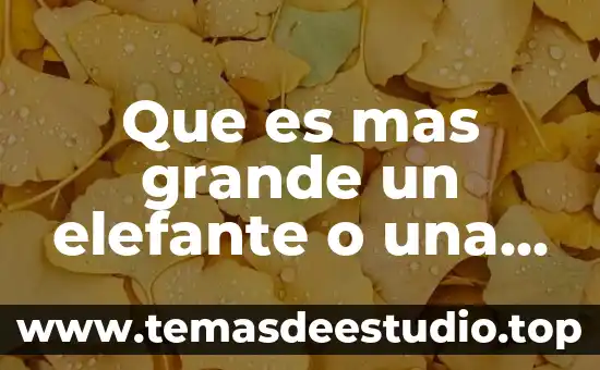 Que es ganaderia nombres mas importantes que desarrollo mesoamerica 8 Que es mas grande un elefante o una ballena