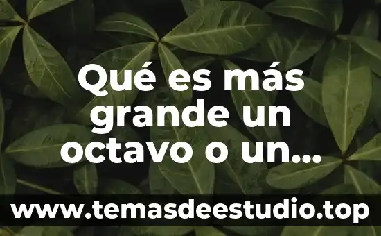 Que es mas grande el auditorio o el palacio 3 Qué es más grande un octavo o un medio