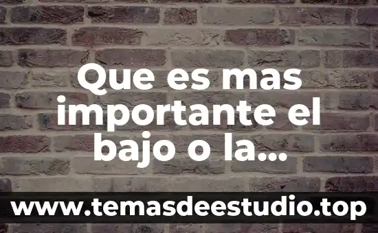 Por que es importante disminuir el chupeteo en los bebés 8 Que es mas importante el bajo o la guitarra
