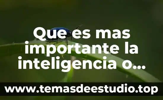 Que es la inteligencia visual espacial yahoo 8 Que es mas importante la inteligencia o el sentido comun
