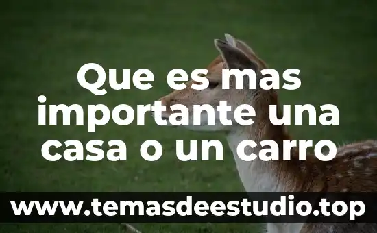 Que es ganaderia nombres mas importantes que desarrollo mesoamerica 6 Que es mas importante una casa o un carro