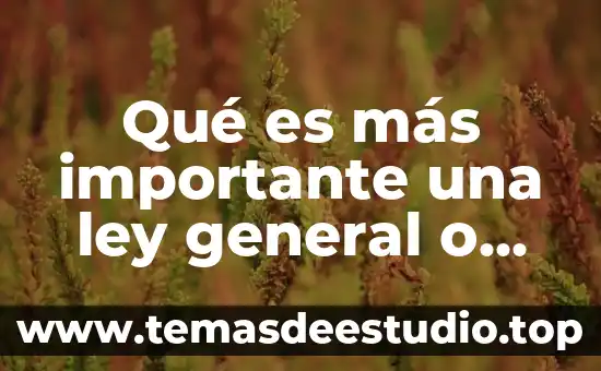 Qué es lo más importante de la teoría de Vigotsky 3 Qué es más importante una ley general o ley federal