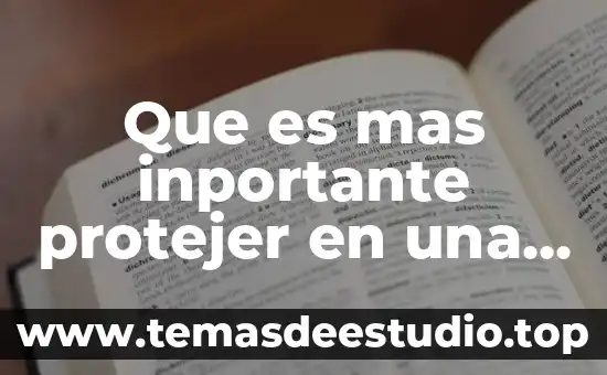 Que es lo mas viejo del mundo 5 Que es mas inportante protejer en una empresa