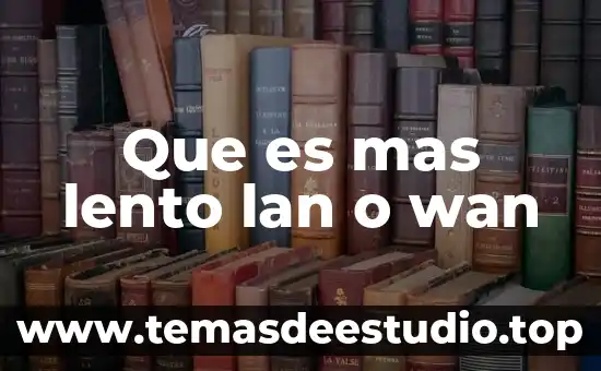 Que es mas beneficioso el sauna oel 3 Que es mas lento lan o wan