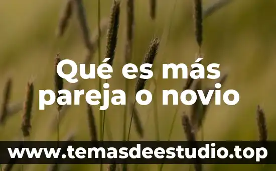 Que es ser pervertida con mi novio 4 Qué es más pareja o novio