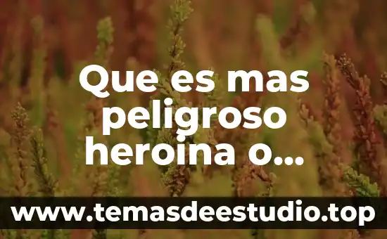 Que es lo que explica la historia del principito 7 Que es mas peligroso heroina o hidrocodona