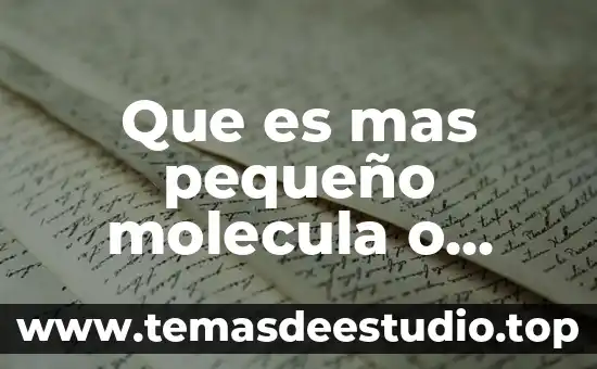 Que es el espacio pequeño 5 Que es mas pequeño molecula o celula