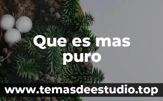 Al que es puro todo le es puro 3 Que es mas puro