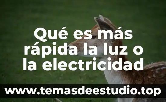 Que es las teorias del patrimonio 8 Qué es más rápida la luz o la electricidad