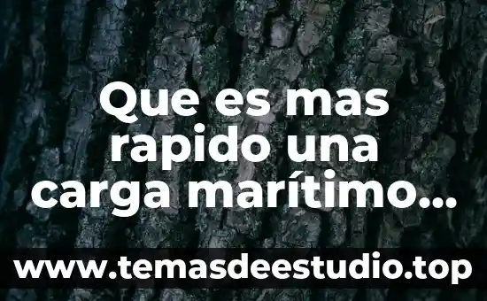 Que es el endocardio concepto 8 Que es mas rapido una carga marítimo o terrestre