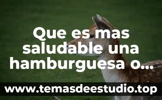 Que es el movimiento armonico simple m.a.s 5 Que es mas saludable una hamburguesa o tacos