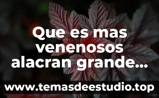 Que es mas grande sol o tierra 7 Que es mas venenosos alacran grande o un chico