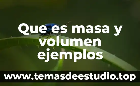 Que es masa y volumen ejemplos