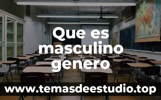 Que es masculino genero