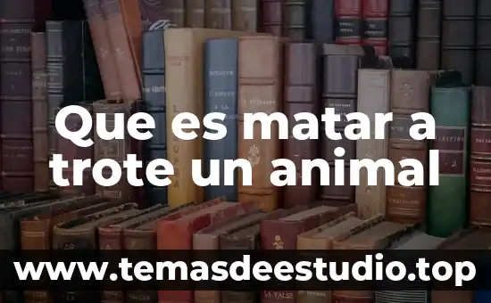 Soñar con animal muerto 5 Que es matar a trote un animal