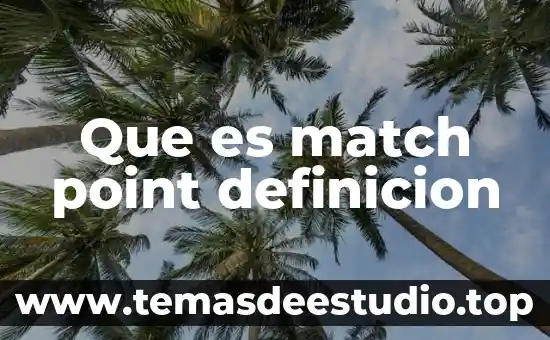 Qué es la amnistía internacional definición 6 Que es match point definicion