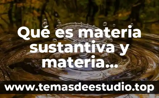 Que es una sociedad de fin ilicito 7 Qué es materia sustantiva y materia adjetiva en derecho