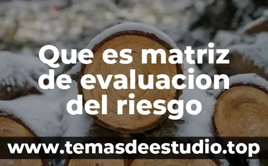 Que es matriz de evaluacion del riesgo