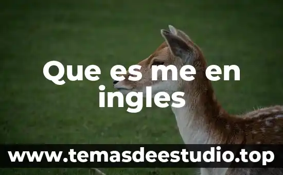 Que es nombre o sujeto en ingles ejemplos 7 Que es me en ingles
