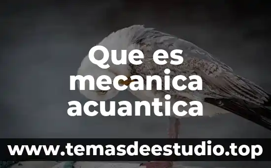 Qué es universo sociedad según artículos 4 Que es mecanica acuantica