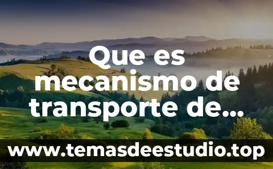 Que es contrato de transporte en scribd 3 Que es mecanismo de transporte de los nutrimentos