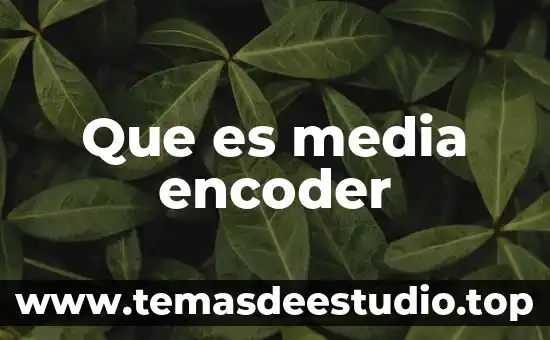 Que es un media en arquitectura 8 Que es media encoder