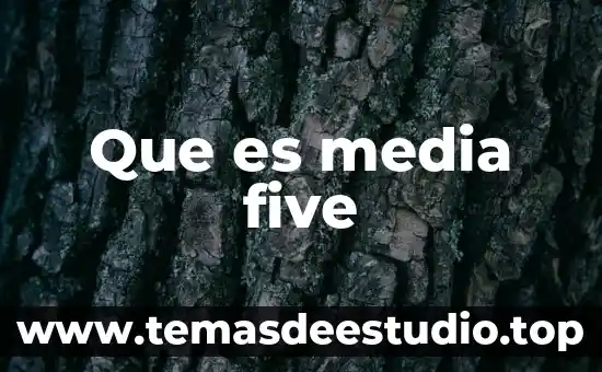 Que es historia clinica en psicologia 3 Que es media five