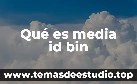 Qué es el ID significado de la siglas 8 Qué es media id bin