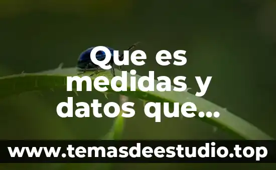Que es trabajo social en equipo 8 Que es medidas y datos que contiene ficha de trabajo