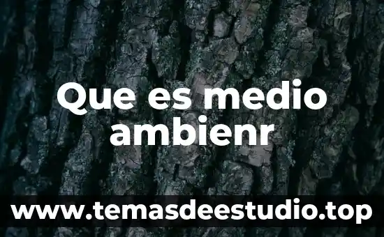 Que es medio ambienr