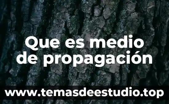 Que es medio de propagación