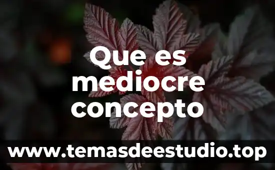 Que es natalicio concepto 8 Que es mediocre concepto