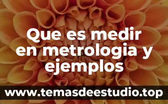 Solubilidad que es y ejemplos 8 Que es medir en metrologia y ejemplos