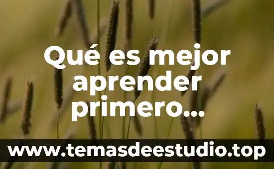 Qué es mejor aprender primero programación o bases de datos