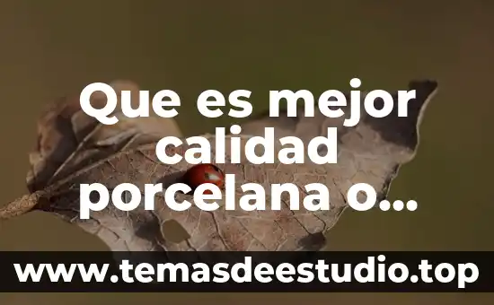 Qué es cerámica en arquitectura 8 Que es mejor calidad porcelana o ceramica